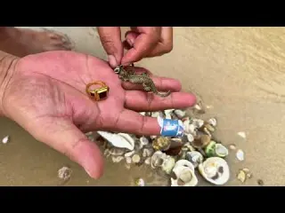 I Spent Hours Hunting Beach Treasures Found Red Anime