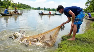 Fishing video Uncle look how many fish I caught