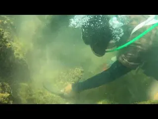 The Unexpected Gold Trail gold