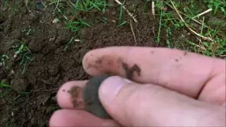 DETECTION DE METAUX LE REAL EN ARGENT METAL DETECTING 1500