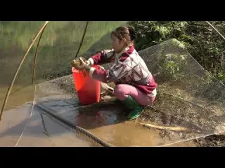 Fishing video Best fishing skills Traditional fishing