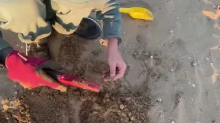 12 hodin v Bibione Pláž v Bibione s detektorem kovů