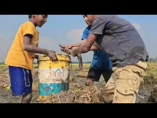 Best Unique Hand Fishing 2026 Search catching catfish in
