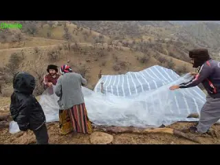 Storm in Zagros Mountains Nomad Family Fighting to Survive