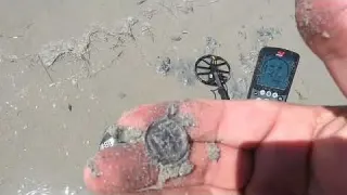 Ring Coins Beach Repeat beachmetaldetecting