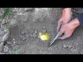 I went down the cliff to explore the treasure and found a