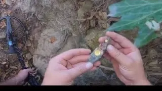 Define Deredeki Ağaç Köklerine Gizlinmiş