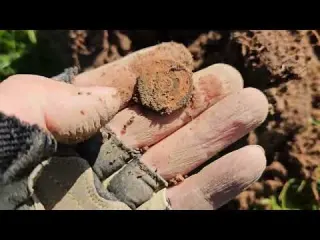 Back out with the FMDC Coins and Relics on the Castle Hills
