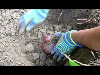 Walking on a deserted island to search for treasures I