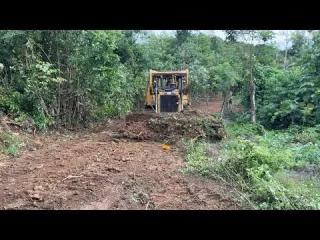 D R XL Bulldozer The Perfect Choice for a Perfect