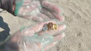 キタァー 砂浜でマジでお宝拾えた 金属探知機使って砂浜で宝探ししてみた 11 Japanese Beach