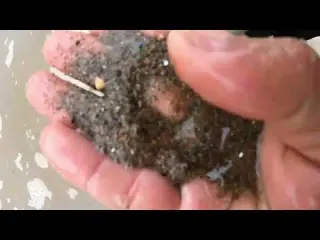 Secret Gold Trap in a Remote River Shocking Results gold