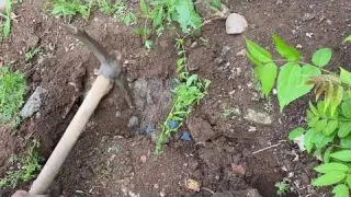 WE FOUND REAL TREASURE MOST EPIC TREASURE HUNT EVER