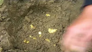 Amazing finding gold gold hunter found a lot of gold