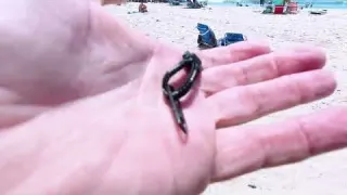 Look what someone Dropped