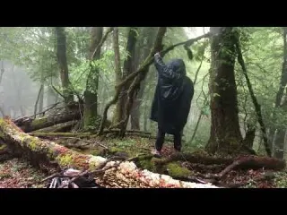Cozy Shelter Camping in Heavy Rain and Rainstorm All Day