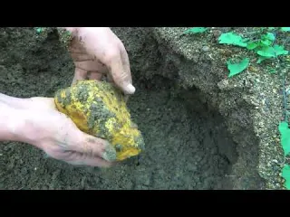 The treasure hunter was lucky to find a unique treasure