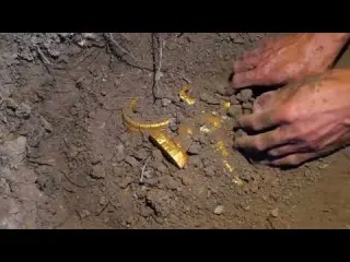 During the treasure hunt I discovered soldiers buried