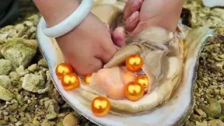 Strange and beautiful mutated river clams a golden expanse