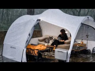 Rain and Falling Petals Peaceful Camping with My Dog ASMR