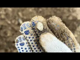 САМЫЙ БОГАТЫЙ КОП ОТКОПАЛ ИСЧЕЗНУВШЕЕ ПОСЕЛЕНИЕ КАЖДЫЙ