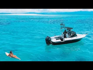Insane Life on The Great Barrier Reef Spearfishing Surfing