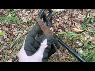 Old Ring Found with Metal Detector in Abandoned Italian