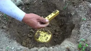 Digging millions of treasures from the dry ditches