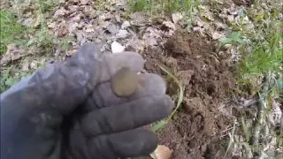 Détection De Métaux belles trouvailles en forêt avec les