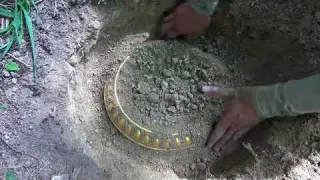 The boy searched for treasure in the wild and found super