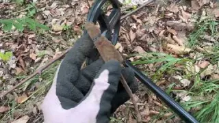 Old Ring Found with Metal Detector in Abandoned Italian
