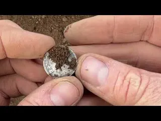 RESCUE MISSION Hunting Lost Treasure in Scotland