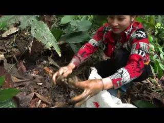 114 harvesting bamboo shoots crabs go to the market cook