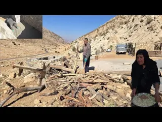 Iran nomadic life chopping wood for the autumn cold and
