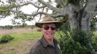 Metal Detecting Abandoned Farmhouse 2nd Sortie Garrett AT
