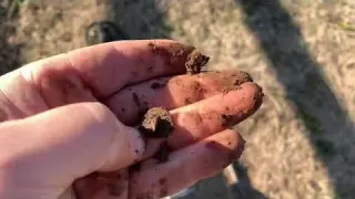 Digging Bucketlister Coins Buttons and Colonial Relics