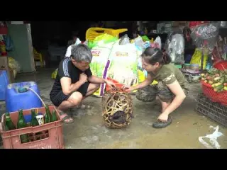 Skills to trap wild chickens bring wild chickens to the