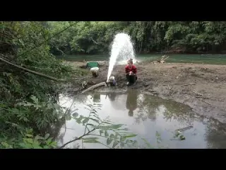 Fishing technology the girl caught a lot of fish in the
