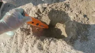 キタキタァ マジで大収穫 砂浜でお宝拾えた 金属探知機使って宝探ししてみた結果 Japanese Beach