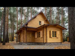 Step by Step Watch a Giant Timber House Rise in the Most