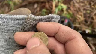 DEFİNE ARAMAYA DEVAM ORMAN YİNE DEFİNE KASASI GİBİ ÇIKTI