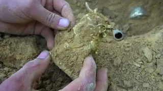 The boy searched for treasure in the wild and found super