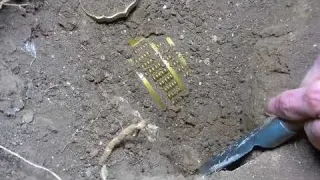 Discovered a great treasure under the dry fish pond made a