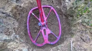 I used the detector to search for treasures and found gold