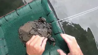 Throwback To One Of My Best Days of River Treasure Hunting
