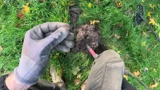 EINKOMMEN aufbessern mit dem Metalldetektor SO Leicht