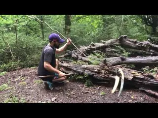 Solitary Survival in the Terrifying Forest Adventure in the