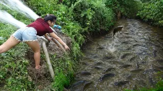 Finding Giant Fish In Tiny Puddles Incredible Big Fish