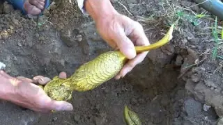 What Will My Giant Magnet Find in the River Magnet Fishing