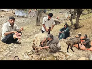 lran nomadic Life Correction of Sheep s Wool for the New